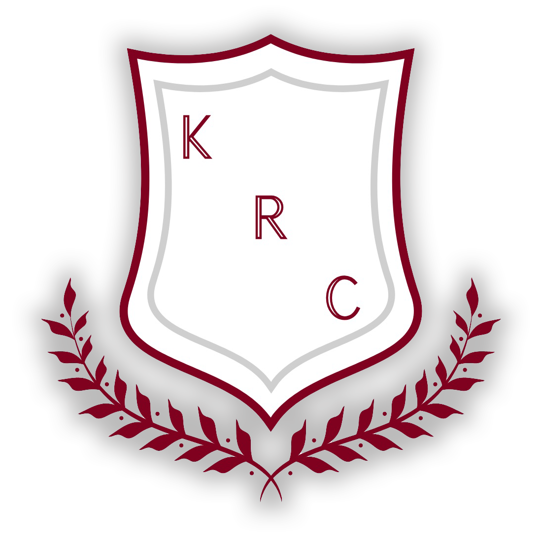 logo-image2a logo-image2a